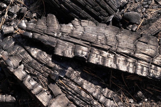 焦げた木の板焦げた傷のある広葉樹の表面スモーキングウッドハロウィーンバナーの背景