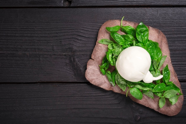 바질과 토스트에 Burrata 치즈