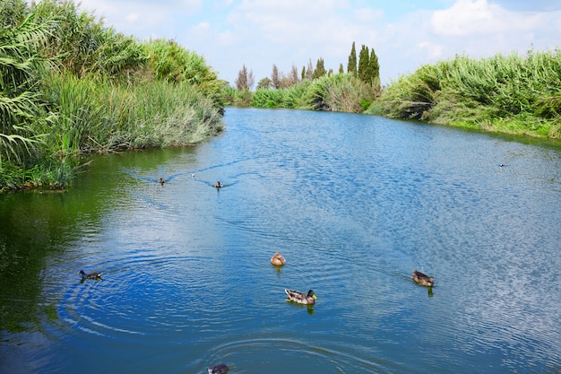 Burriana river Borriana in Castellon at Spain