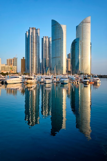 Photo busan marina with yachts on sunset south korea