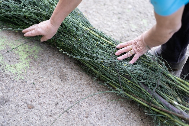 bush, homemade, hands, woman, nature, people, work, garden