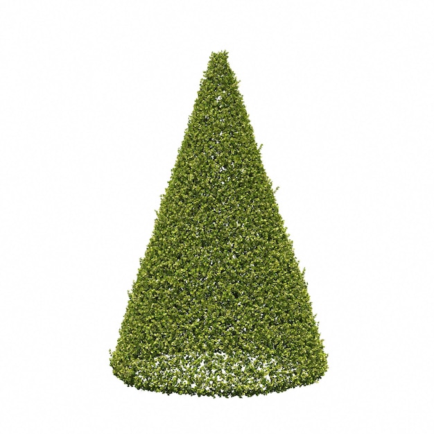 bush isolated on white background, 3D illustration, cg render