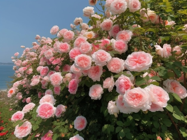 Photo a bush of pink roses with the word rose on it