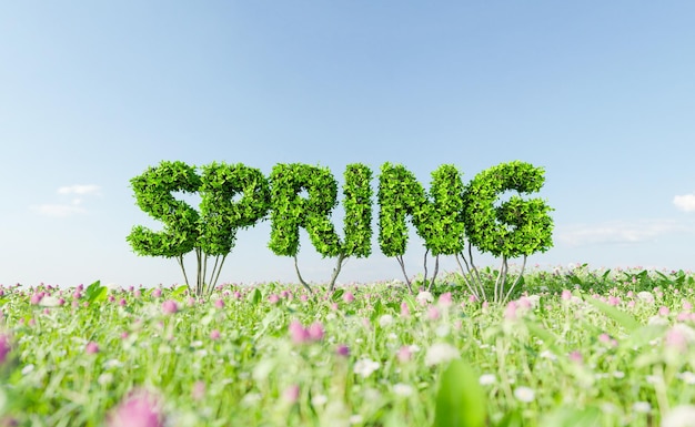 bush sign with the word SPRING in a meadow