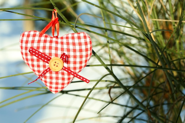 Bush with heart decoration on nature background