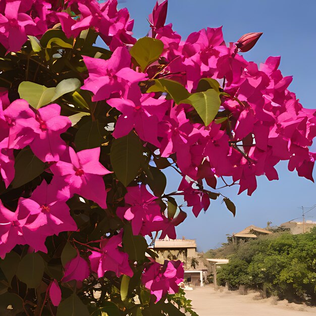 Photo a bush with pink flowers that are outside