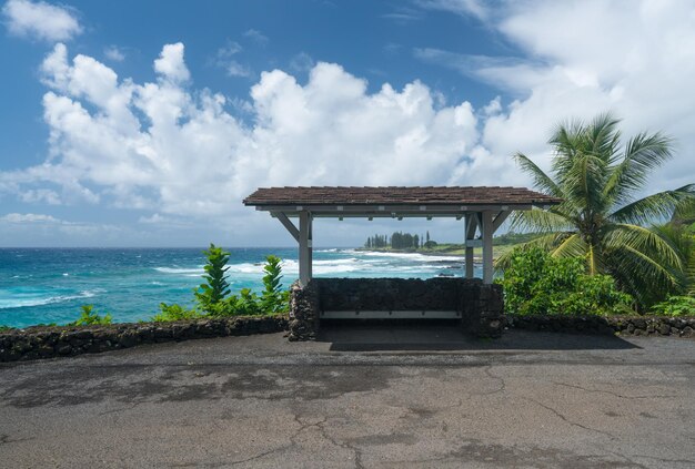 Bushalte bij Hamoa Beach bij Hana op het Hawaiiaanse eiland Maui