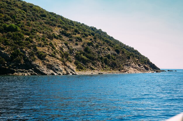 bushes on a Peninsula view and a lake