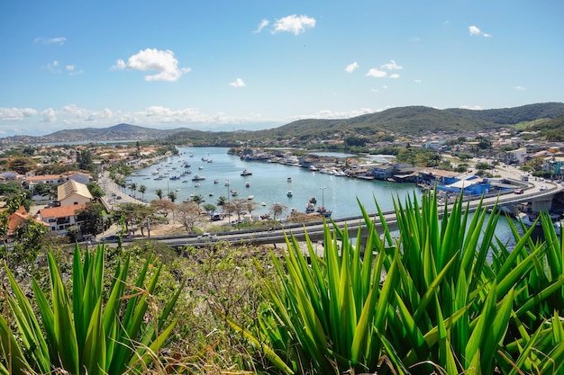 bushes on top of the hill, overlooking the city of Cabo Frio in Rio de Janeiro state, Brazil