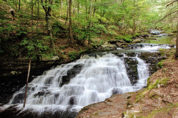 Bushkill falls