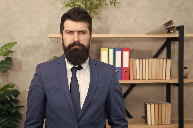 Business banker modern businessman confident brutal man male in\
business office bearded man banker mature hipster with beard\
businessman in suit man banker serious banker in bank office