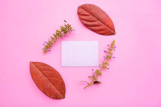 Business Card On Pastel Pink Background With Dried Flowers And Leaves Decoration. Business Card, White Paper. Paper Mockups. Pastel Color Background