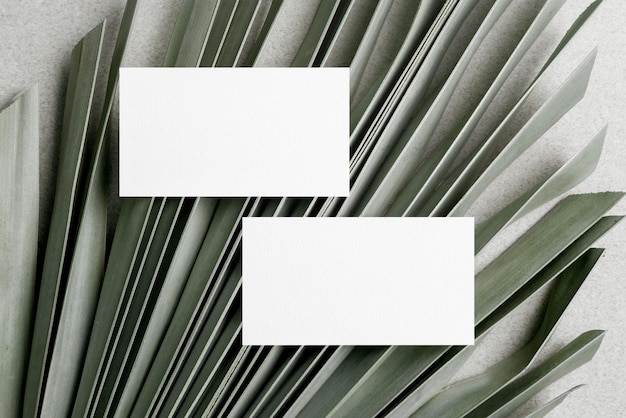 business card png mockup transparent design