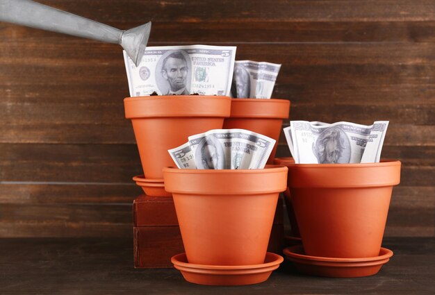 Photo business concept growing money in the flowerpots on table