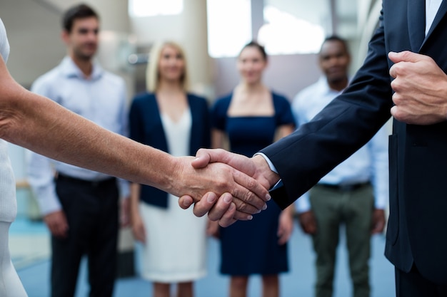 Business executives shaking hands with each other