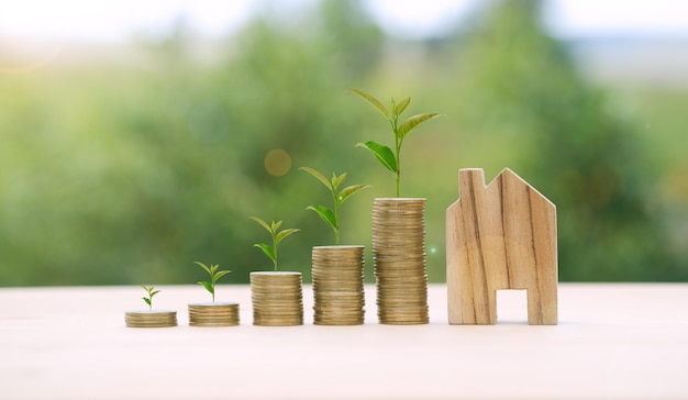 Business Finance and Money concept Save money for prepare in the future Trees growing on coinClose up stacking coins with green bokeh background