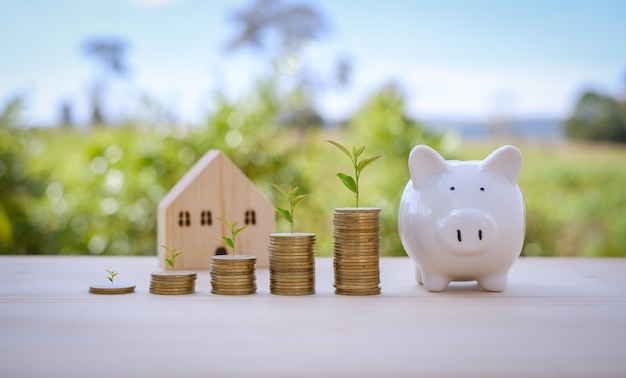 Photo business finance and money concept save money for prepare in the future trees growing on coinclose up stacking coins with green bokeh background