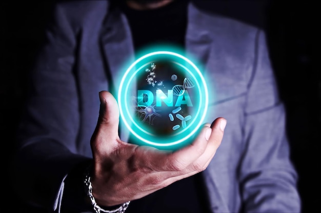 Деловая рука держит диаграмму ДНК. Концепция исследований и разработок ДНК.