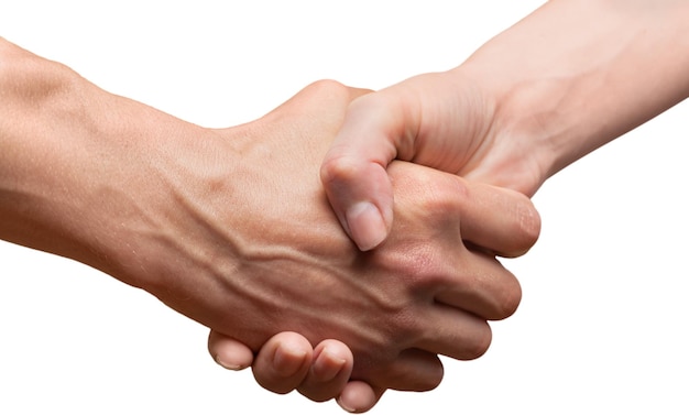 Business handshake and business people on background