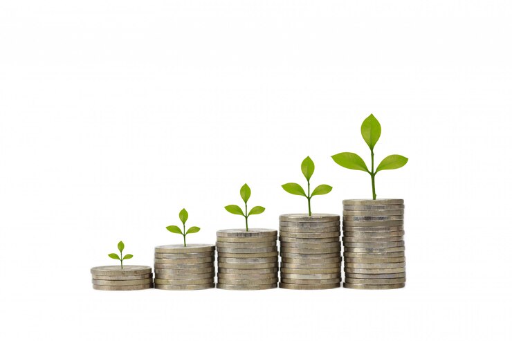 Photo business investment and saving growth for advertising concept. plant growing on stacking coin on isolated and white background studio, meaning of growing or saving or earning money