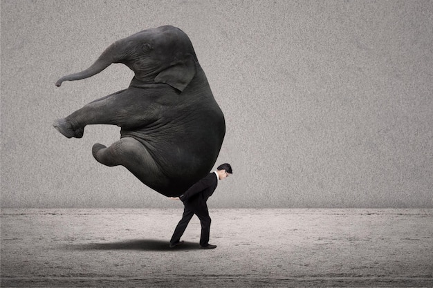 Photo business manager carry elephant on grey leadership concept