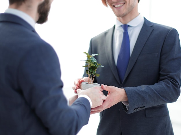 Business partners are holding a young seedling photo with copy space