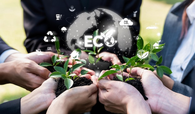 Photo business partnership nurturing or growing plant together with eco friendly icon symbolize esg sustainable environment protection by eco technology and carbon reduction for net zero future reliance