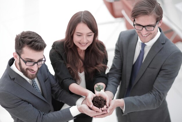 Business team holding together fresh green sprout