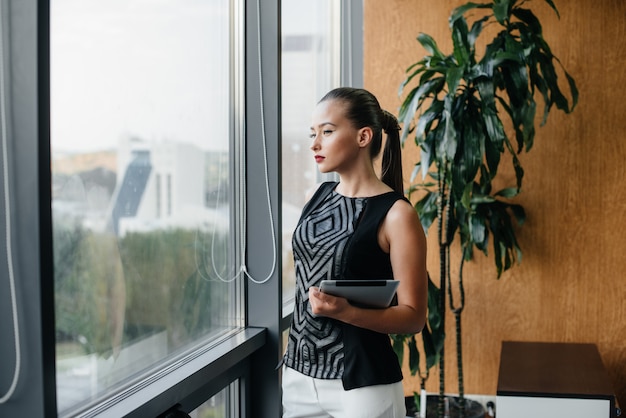 Business woman is standing in the office near the window and is studying documents. Business, finance, lawyer