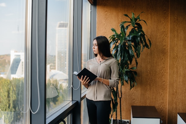 Business woman is standing in the office near the window and is studying documents. Business, finance, lawyer