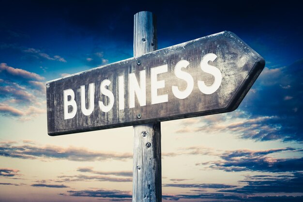 Business wooden signpost with one arrow sunset sky in background