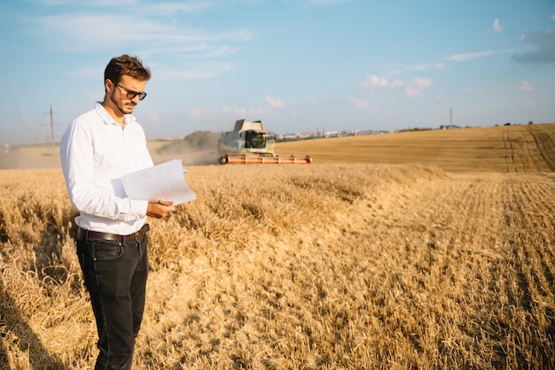 businessman in the cornfield checking plantation