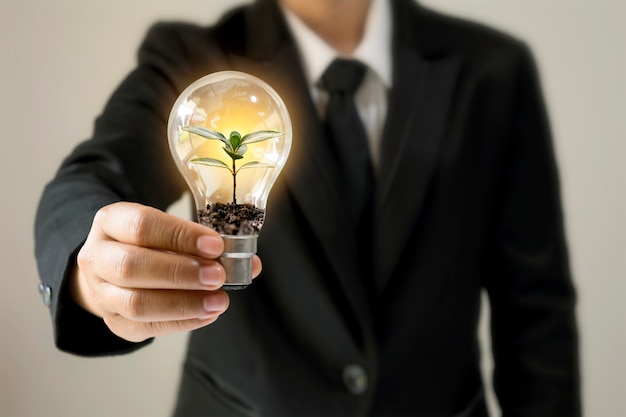 Businessman hand holding energy-saving light bulb with plants growing on coins in light bulbs