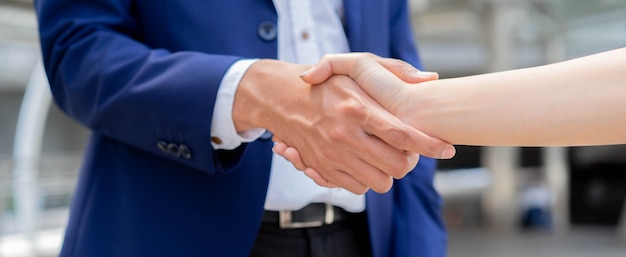 Businessman handshake with partner