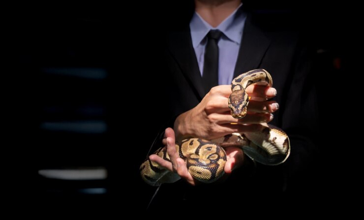 Formas de depositar e sacar usando criptomoedas no Cobra Casino