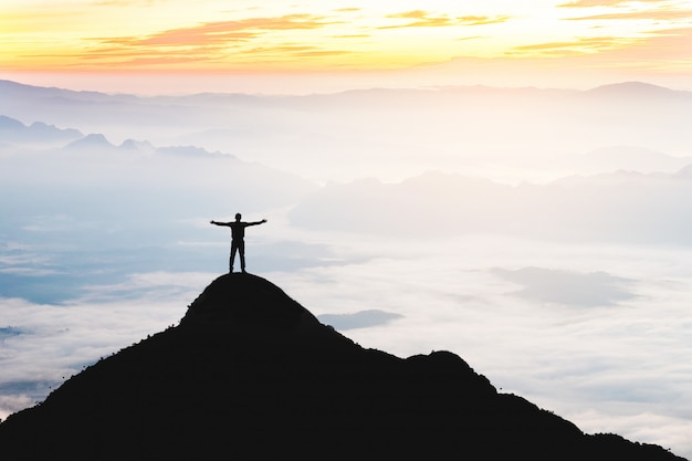 Businessman success raising arms stand on top of hill