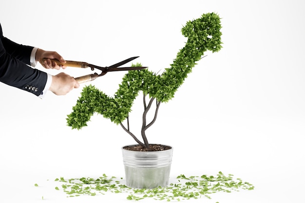 Photo businessman trims a plant that grows like an arrow . 3d rendering