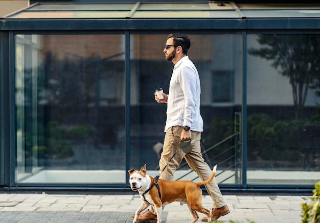 Businessman walking his dog on a leash and drinking his coffee to go