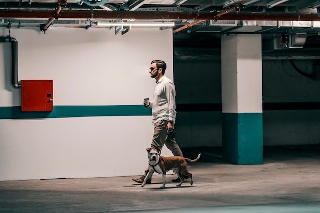 白いシャツとサングラスをかけたビジネスマンが地下駐車場で犬を散歩させている