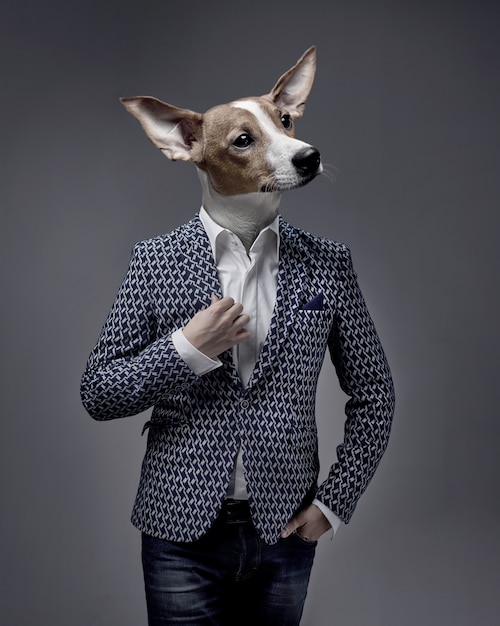 A Businessman With A Dog Head