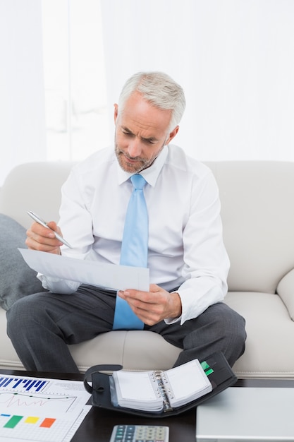 Businessman with graphs and diary at home