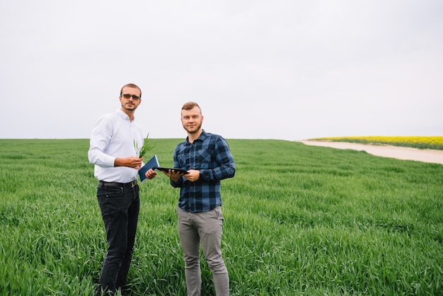 businessmen standing in a wheat field with tablet