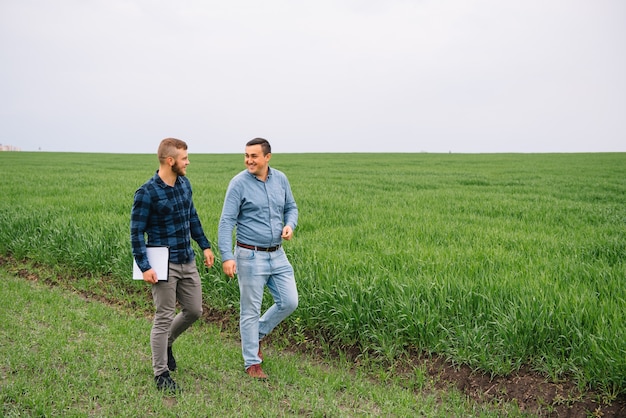 businessmen standing in a wheat field