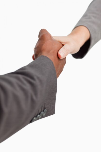 Businesspeople shaking hands