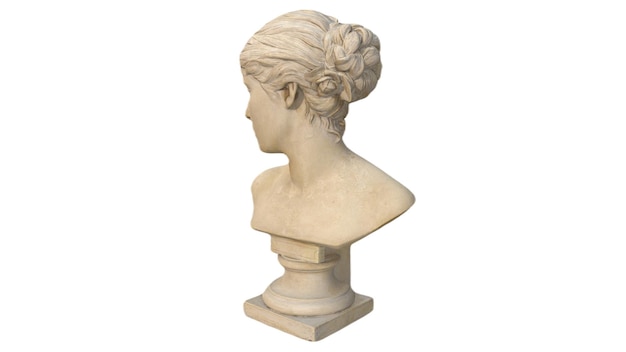 A bust of a woman's face