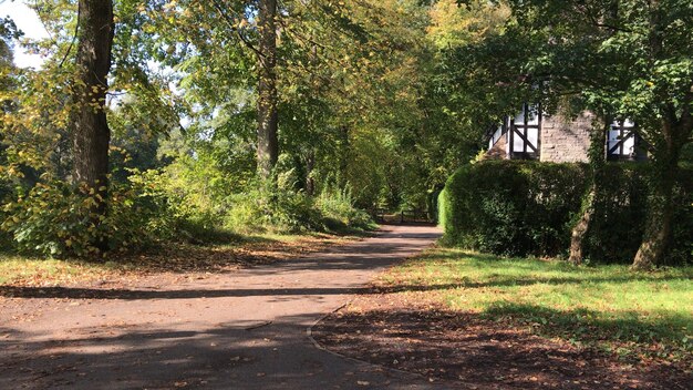 Photo bute park cardiff