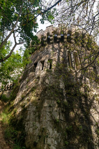 Foto butron castello di epoca medioevale costruito su un colle in cima ad alcune rocce e circondato da un bosco secolare