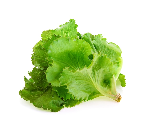 Butter head Lettuce isolated on white background