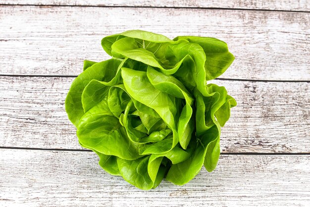 Butter lettuce salad green leaves