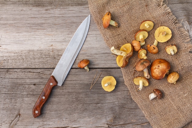 Butter mushrooms just picked in the woods in summer day. Forest mushrooms lying on piece of sackcloth and stainless steel knife on wooden board